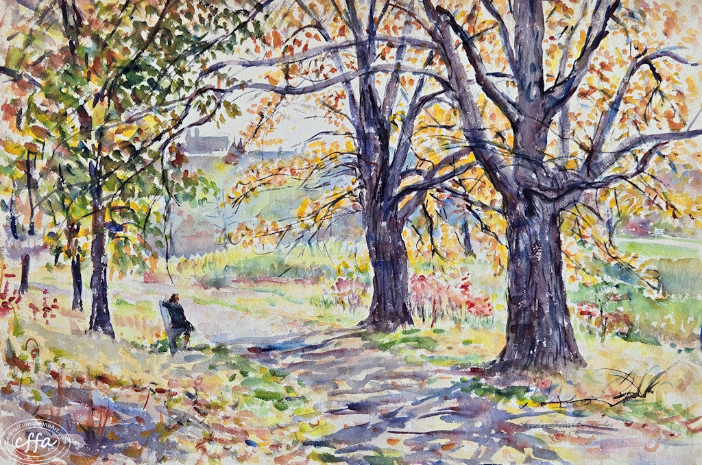 Charles Demetropoulos 13